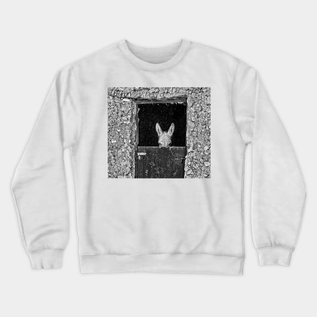 Donkey. Crewneck Sweatshirt by bulljup